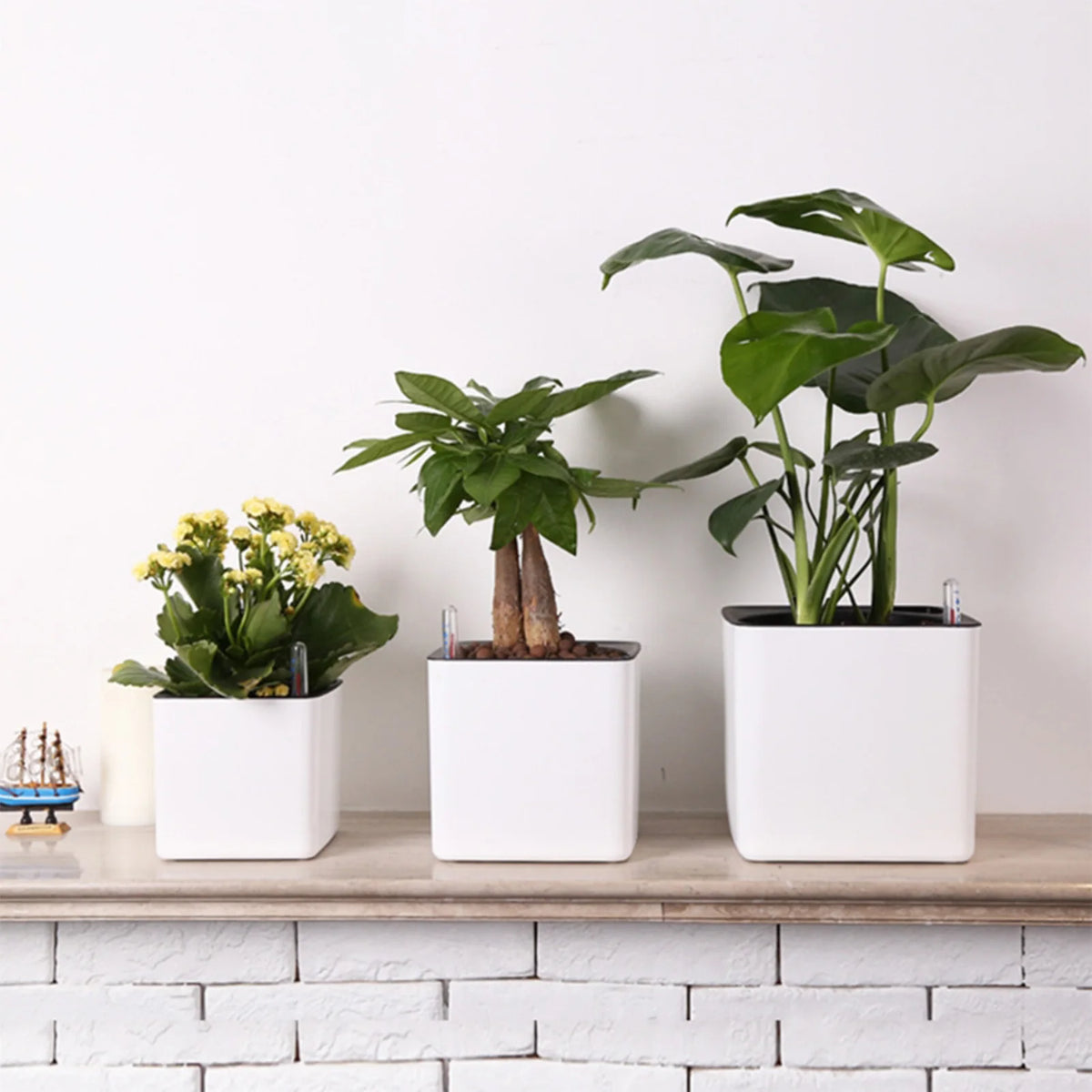 pot auto irriguant moderne indicateur eau fleur plante verte corde coton absorbant blanc opacité