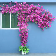 décoration murale florale artificielle bougainvillier rose vif vert foncé pot bois tropical