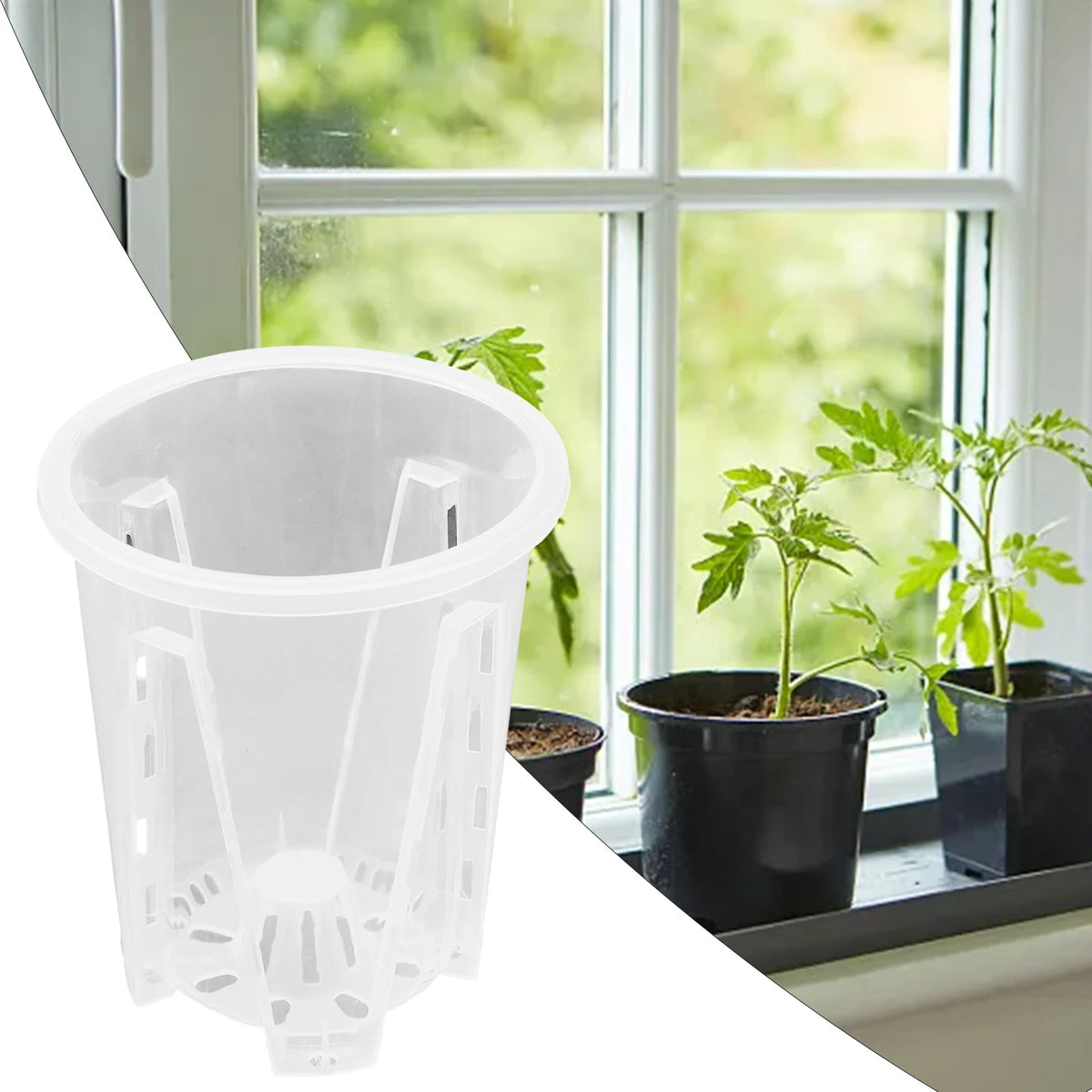 cache pot transparent moderne pot fleur sans motif 10cm 12cm 14cm 16cm ornement