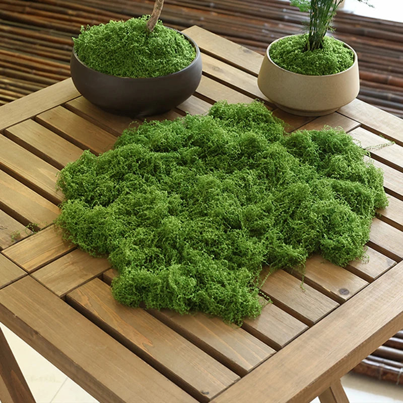 plantes vertes artificielles mousse naturelle décoration intérieure extérieure mini paysage salon jardin réaliste
