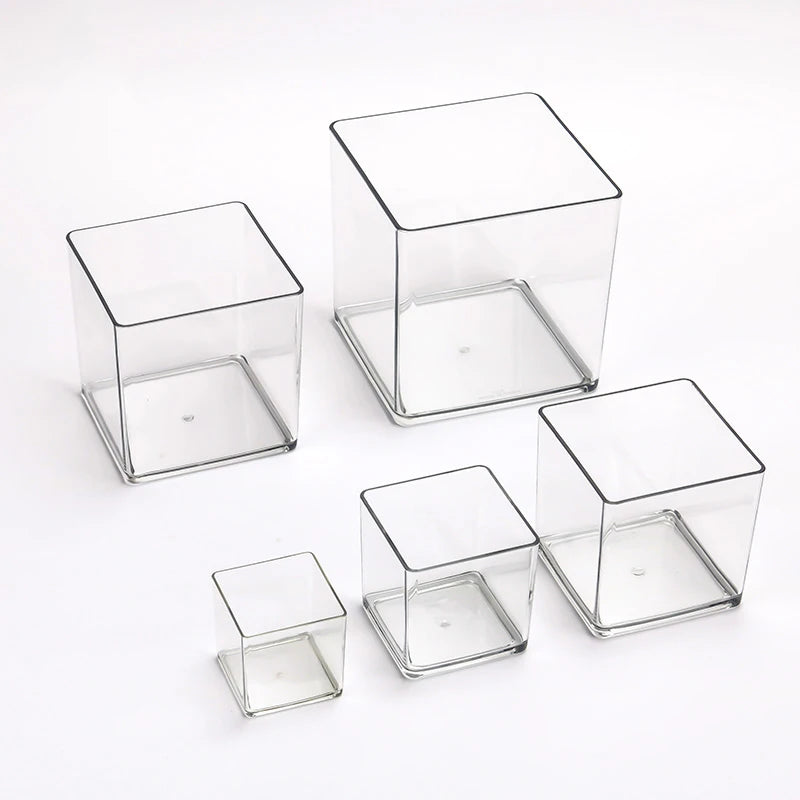 cube transparent moderne vase hydroponie plante verte sans motif minimaliste récipient acrylique