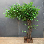 plante verte artificielle arbre banyan extérieur moderne feuilles vertes tronc brun herbe synthétique exposition