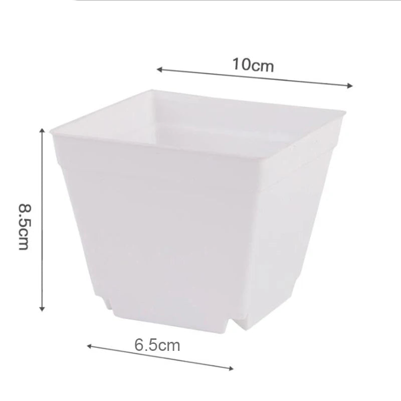 Pots fleurs plastique noir blanc violet bleu modernes 7cm 8cm 10cm jardin