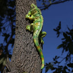Lézard en résine vert armée posé sur des pierres