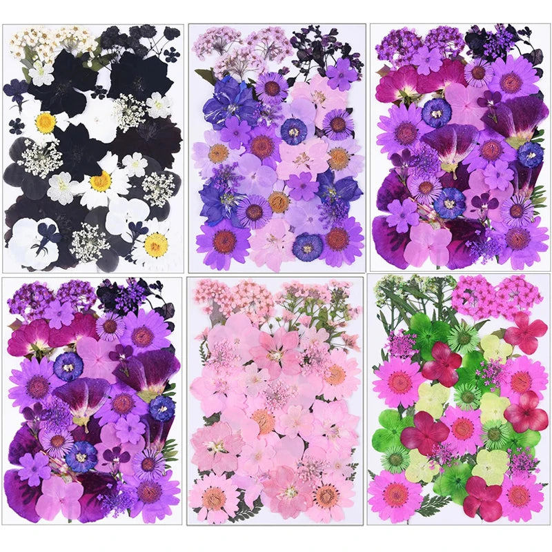 fleurs séchées variées violettes roses vertes blanches noires jaunes décoration artisanat bijoux