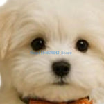 porte rouleau papier toilette forme chien peluche blanc decoratif résine facile nettoyer classique