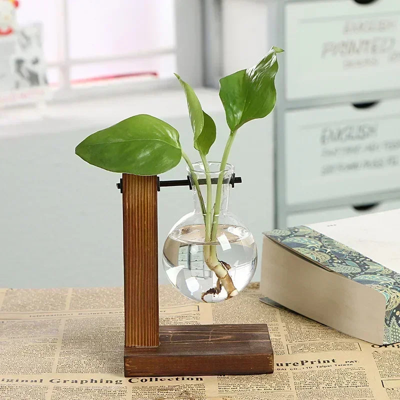 Terrarium placé sur une table avec plante verte en décoration d'intérieur