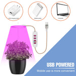 lumière croissance led usb 5v pink red blue sunlight controle remote moderne hydroponique