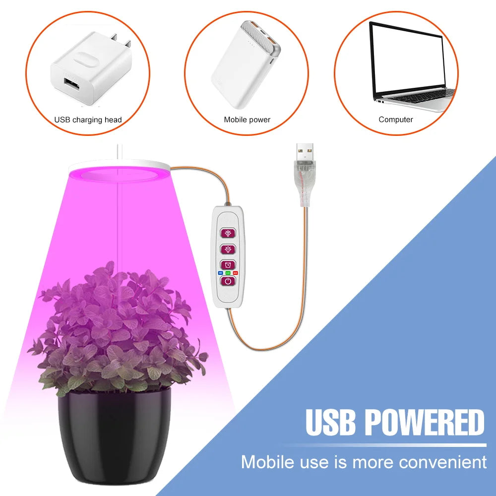lumière croissance led usb 5v pink red blue sunlight controle remote moderne hydroponique