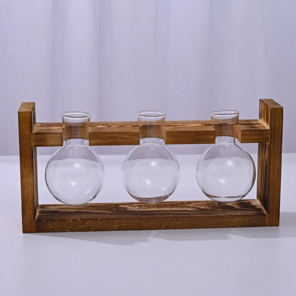 support plantes verre moderne bois marron clair vase transparent feuilles vertes multicoloresintérieur décoration