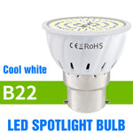 ampoules led e14 e27 gu10 b22 blanc modernes circulaires points lumineux opaques 250 499