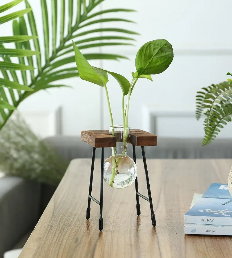 vase decoratif industriel moderne verre bois pothos support plante transparent minimaliste