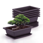 pot plante jardin extérieur marron moderne grille drainage fleurs succulentes bonsaï