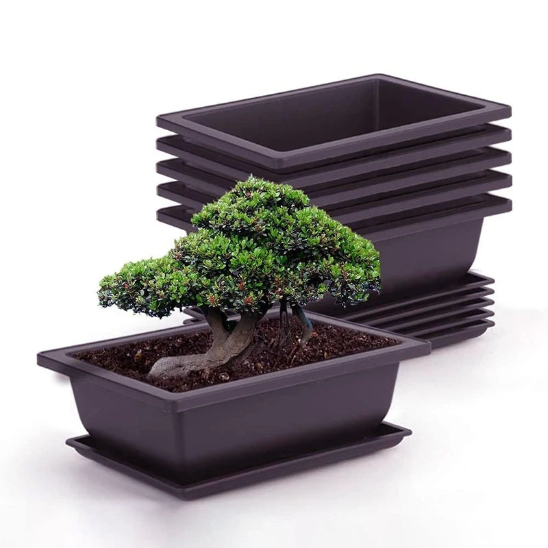 pot plante jardin extérieur marron moderne grille drainage fleurs succulentes bonsaï