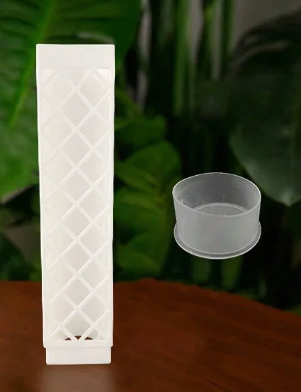 support plante transparent moderne adhésif bouchon remplissage base semi circulaire diamant grille blanc