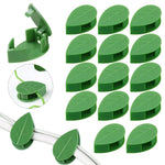 clips fixation murale plantes grimpantes support jardin vert motif feuilles adhésif invisible accessoires