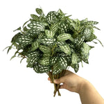 plantes artificielles feuilles vertes tiges blanches moderne minimaliste extérieur décoration