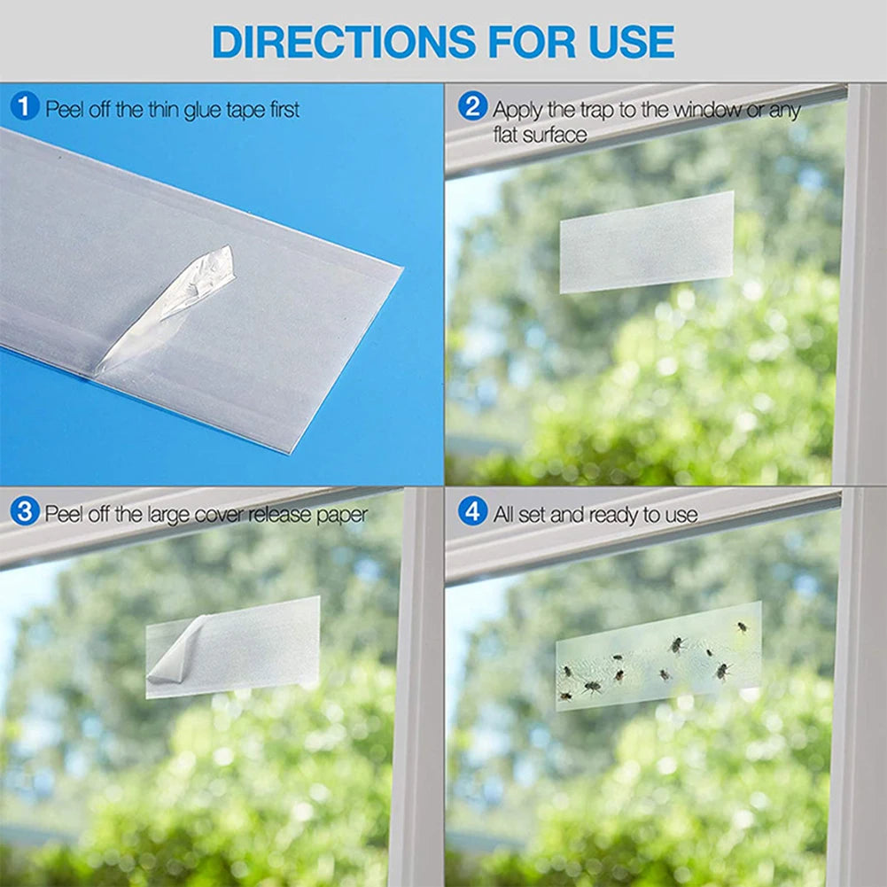 pièges mouches adhésifs fruits blanc guide utilisation pièces insectes fenêtres maison jardin simples