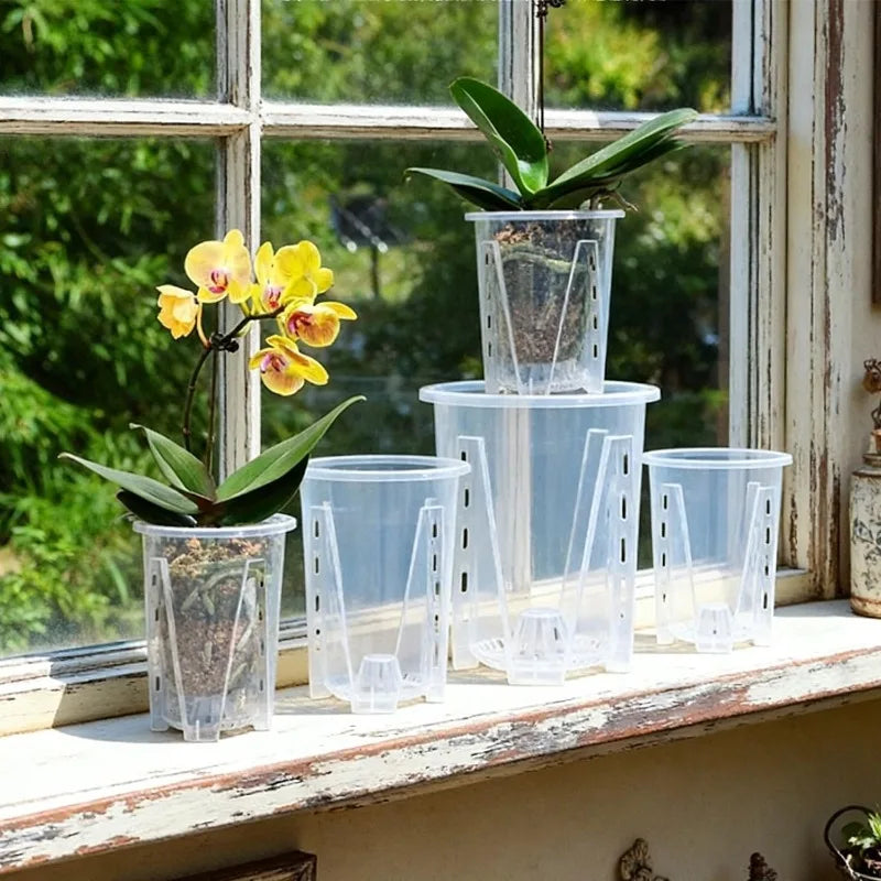 pots plante transparents perforations contrôle racines moderne adhésif orchidées fleur verte jardin