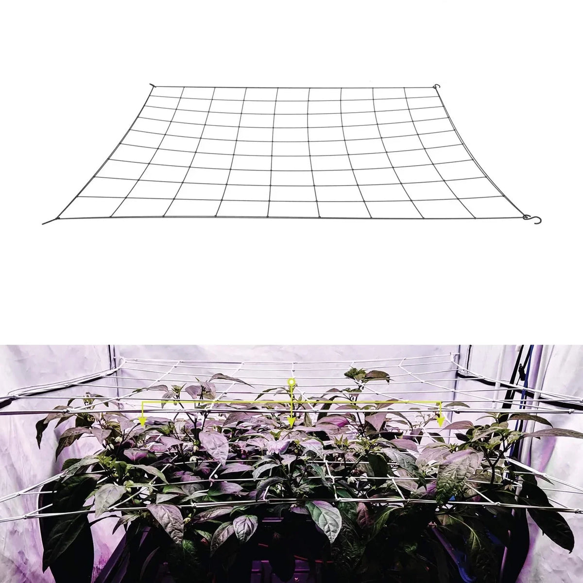 filet protection plantes noir maille régulière clips jardin élastique polyester pratique crochets support plantes