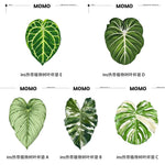coasters feuilles tropicales vert blanc rose moderne respectueux environnement set 4pcs 5pcs