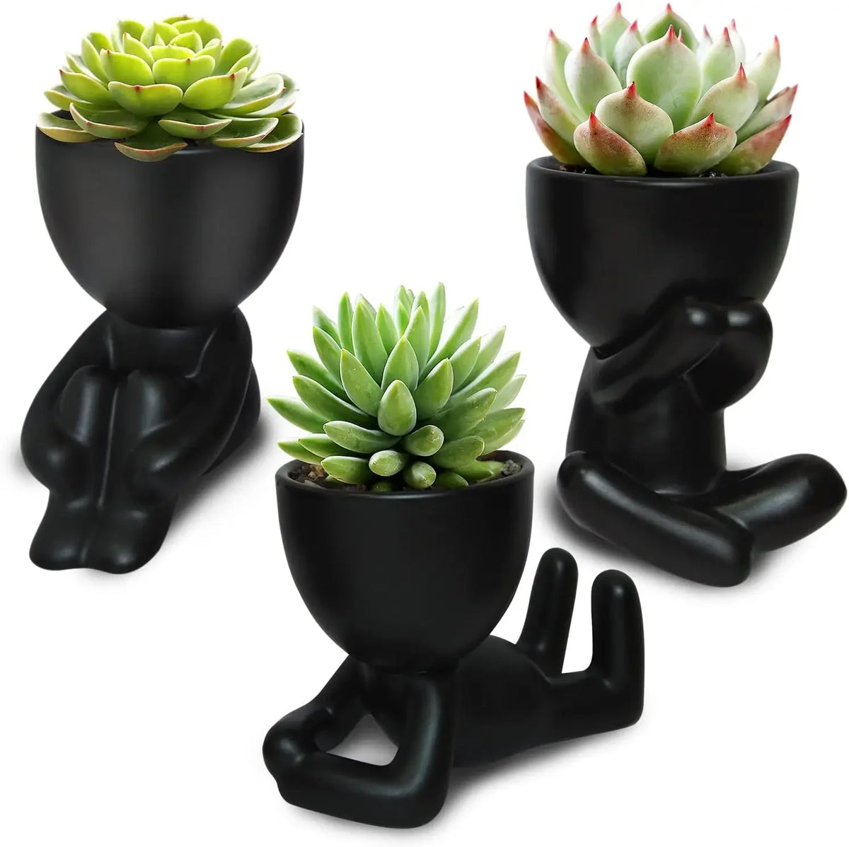 cache pot céramique contemporain noir pots fleurs succulentes drainage maison