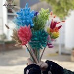 décoration maison bouquets plumes séchées naturelles bleu vert rose orange