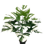 plantes artificielles grandes feuilles vertes blancs moderne tropicale décoration mur extérieur accrochées
