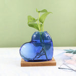 vase verre forme cœur transparent moderne plante verte support bois