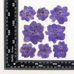 fleurs séchées bleu blanc jaune naturelles petals décor intérieur anniversaire cadeau art artisanal