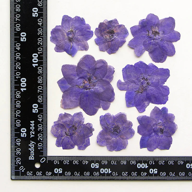 fleurs séchées bleu blanc jaune naturelles petals décor intérieur anniversaire cadeau art artisanal