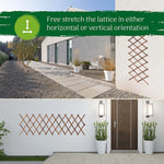 Clôture végétale avec treillis blanc pour jardin
