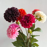 bouquet dahlias artificiels rose blanc rouge violet orange détaillés intérieur mariage festiveDecoration