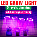lumière croissance led anneaux purple moderne usb alimentée régulateur intensité