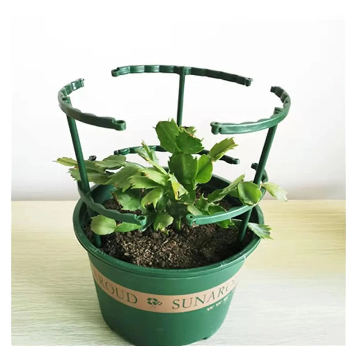 Support plante noir plastique moderne 16cm 27cm eyeletsintérieur fleur fixe