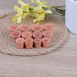 pots miniature terre cuite différents tailles fleurs jaunes plante grasse rustic