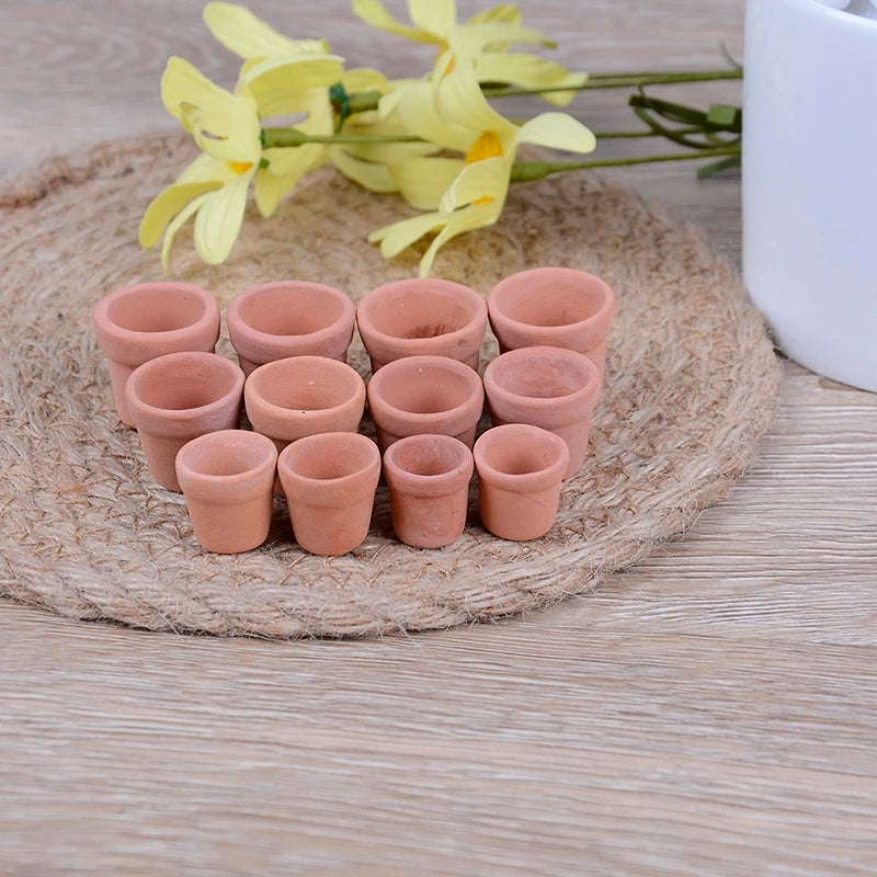 pots miniature terre cuite différents tailles fleurs jaunes plante grasse rustic