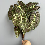 plantes artificielles decoration maison feuilles vert brun rouge veines blanches moderneintérieurDecorationFeuillesPlastique5pieces