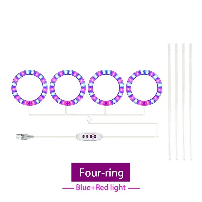 lumière croissance led usb rechargeable rose bleu blanc moderne minimaliste
