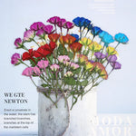 fleurs séchées rouge rose violet bleu jaune feuilles vertes décoration maison scrapbooking diy