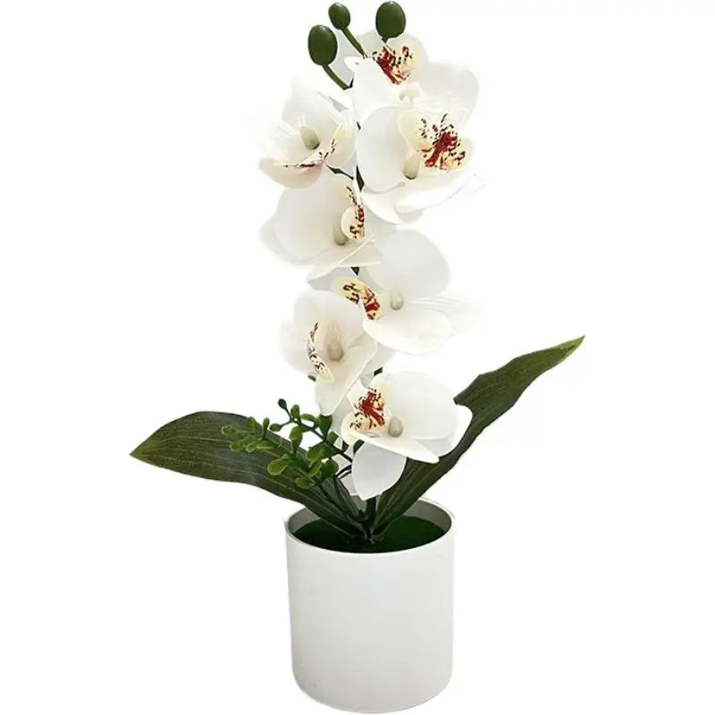 décoration intérieure orchidées artificielles fleurs blanches roses bleues jaunes modernes maison