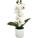 décoration intérieure orchidées artificielles fleurs blanches roses bleues jaunes modernes maison