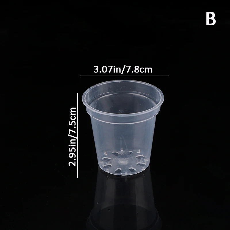 Pots semis transparents trou drainage moderne pratique couvercle