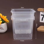 pots plante transparents modernes grille drainage auto absorption d'eau 10cm 12cm 15cm