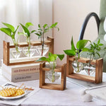 support plantes cadre bois marron verre transparent modernes vases coeurs plantes vertesintérieur décoration minimaliste