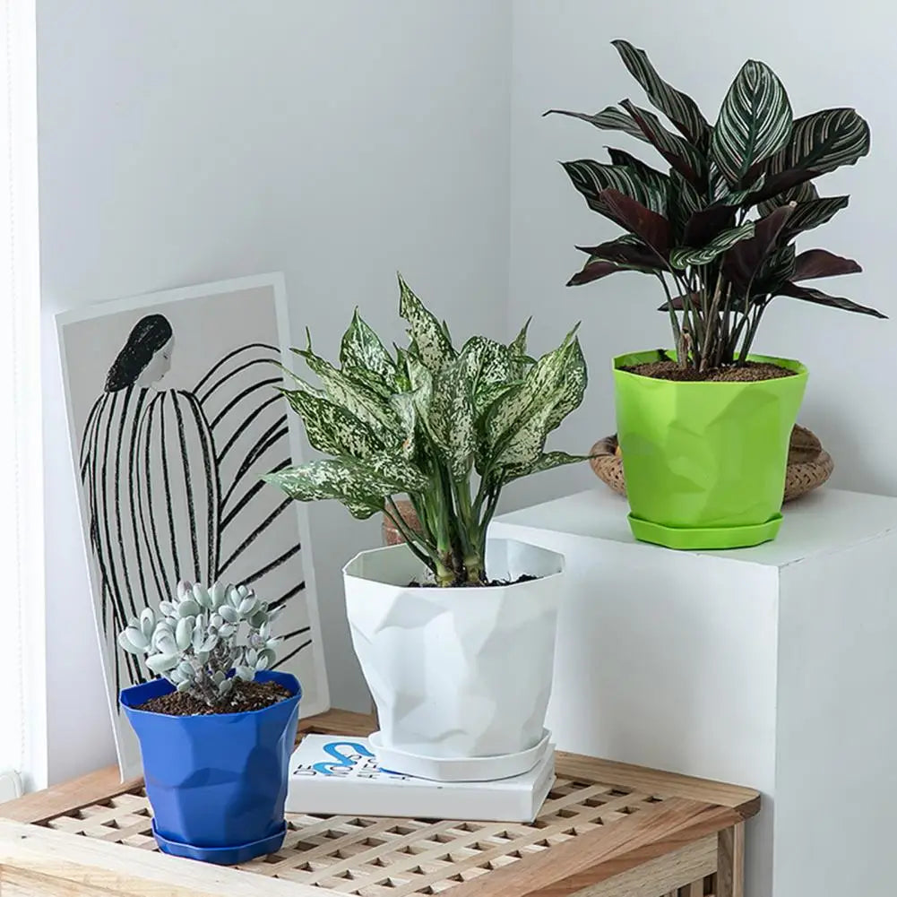 Pots plantes vertes durables multifacettes couleurs blanc orange bleu moderne