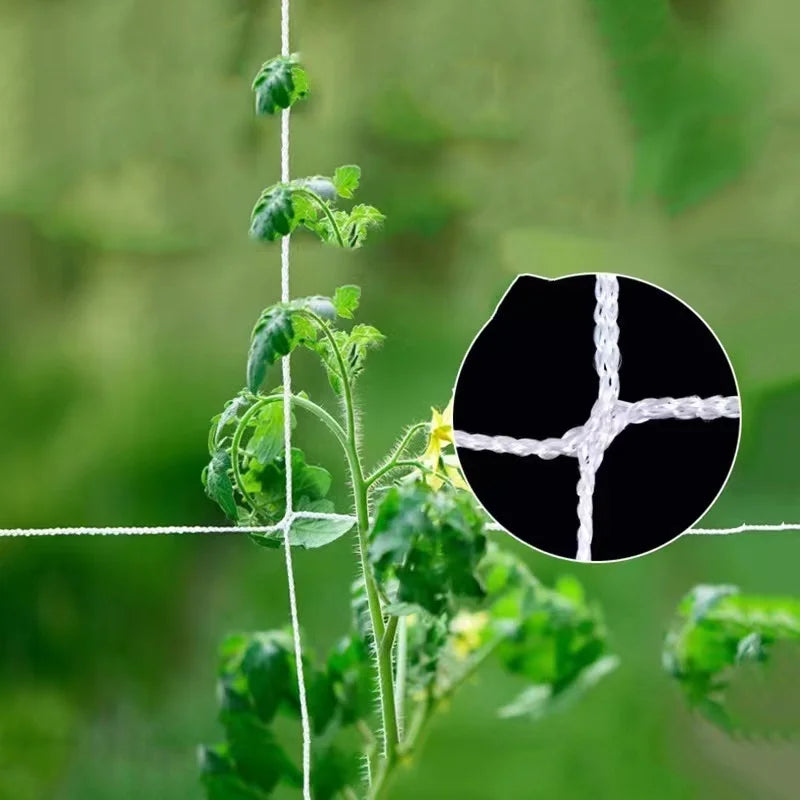support plantes grimpantes filet jardin quadrillage blanc fleurs tomates concombres sacs transparents matériaux argentés
