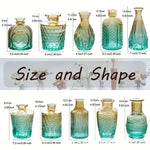 vases verre transparents ombre vintage vert marron bleu rose élégants décoration fleurs