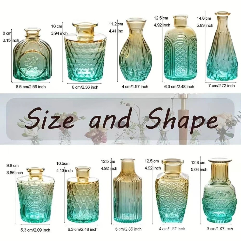 vases verre transparents ombre vintage vert marron bleu rose élégants décoration fleurs