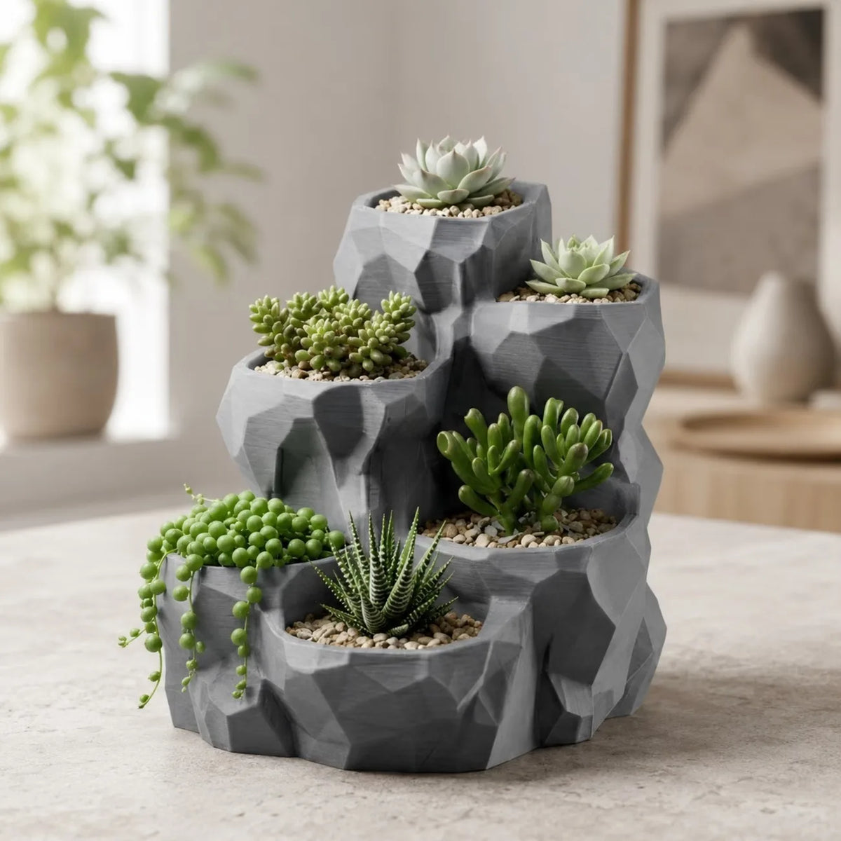 jardin moderne pot géométrique gris succulentes plusieurs compartiments plante verte minimaliste